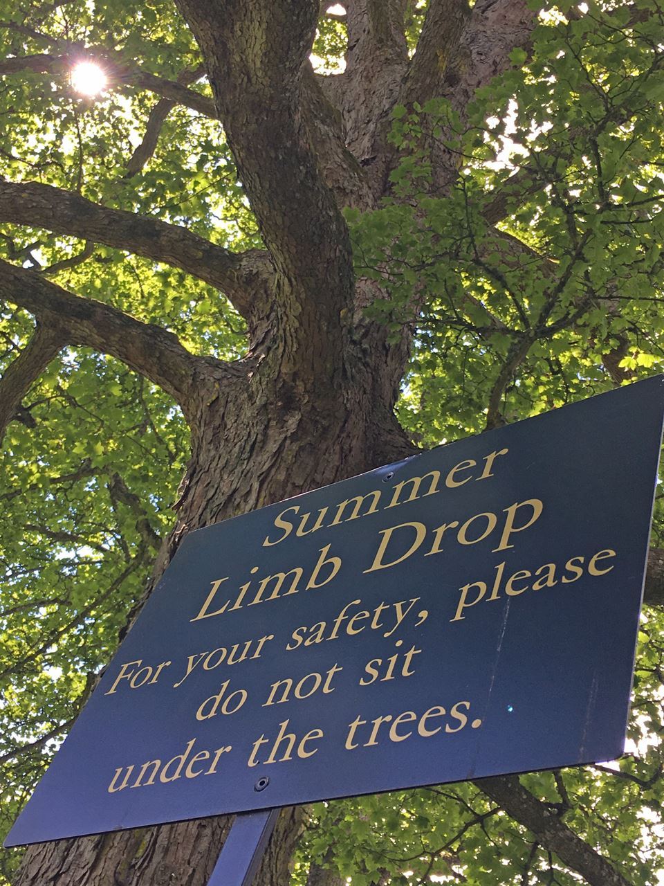 Summer Branch Drop Sign