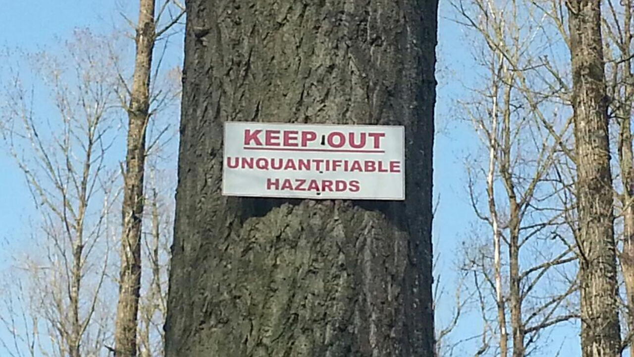 Tree Risk Hazards?