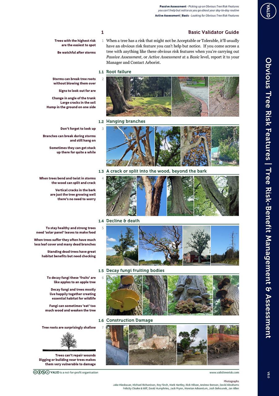 Basic Tree Risk Assessment | Basic Validator Guide