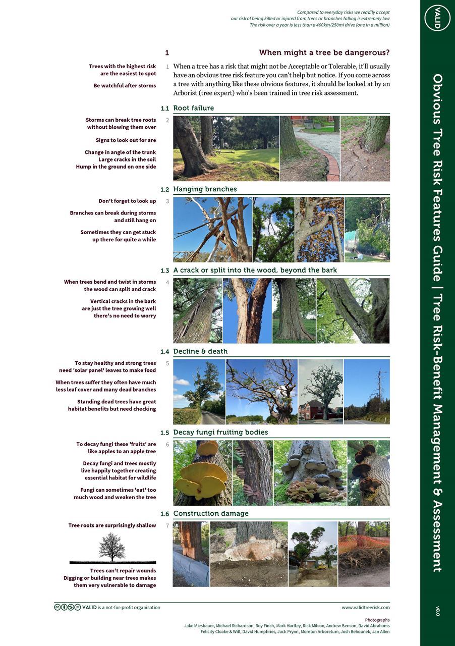 What is a high risk tree? Tree Risk Management & Assessment