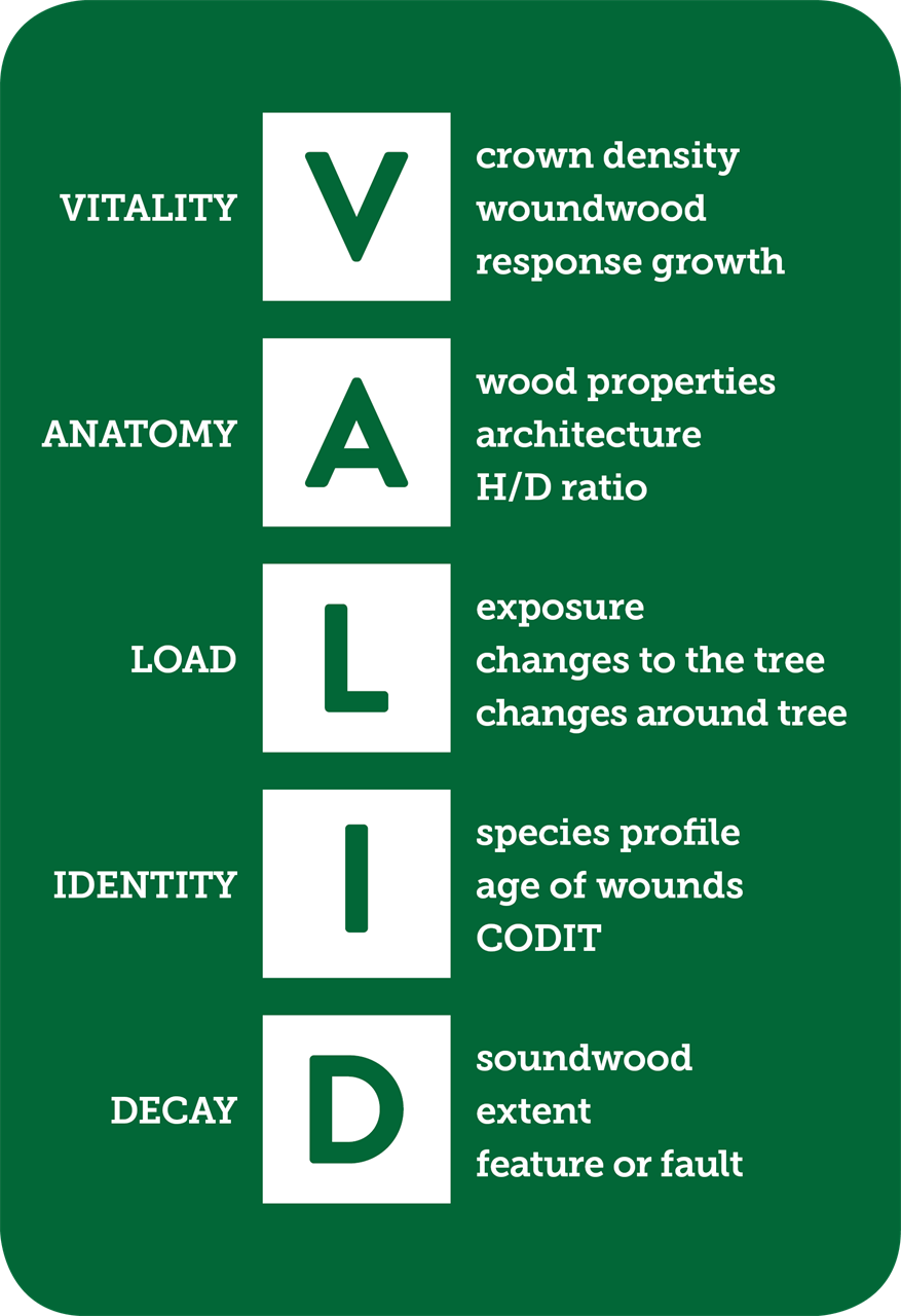Tree risk assessment | VALID likelihood of failure