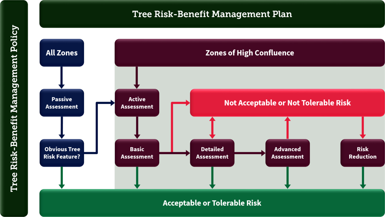 Tree Risk-Benefit Management Flowchart
